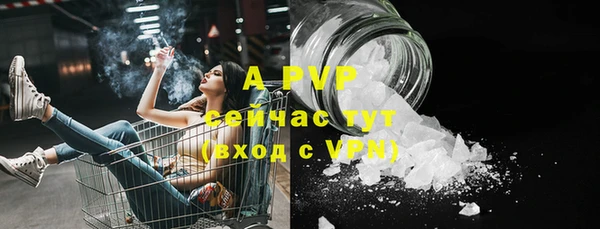 гидра Вязники