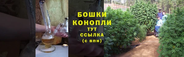 дурь Горнозаводск